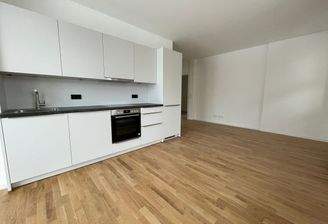 Moderne Einbauküche