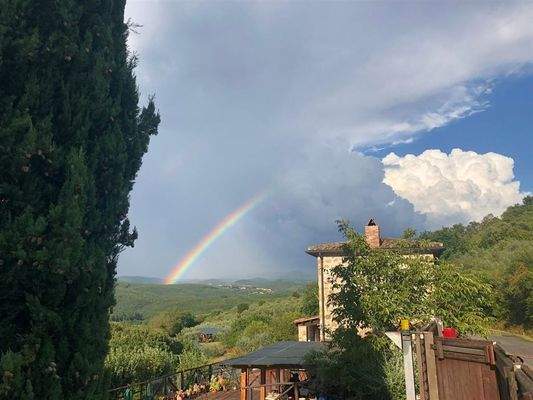 Aussicht ins Grüne mit Regenbogen am Himmel