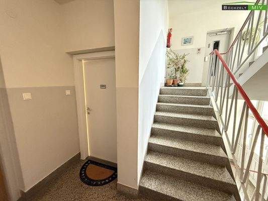 Stiegenhaus und Wohnungseingangstüre