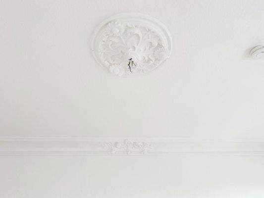 Stuckdecke im Wohnzimmer