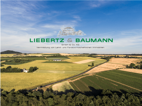 Großweitzschen Bauernhöfe, Landwirtschaft, Großweitzschen Forstwirtschaft