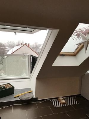 Austritt Dachflächenfenster