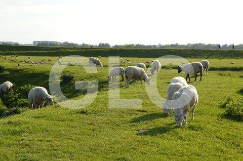 Glückstadt Grundstücke, Glückstadt Grundstück kaufen