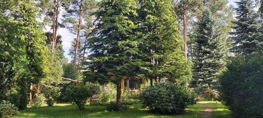 Grundstück mit Blick zum Wintergarten