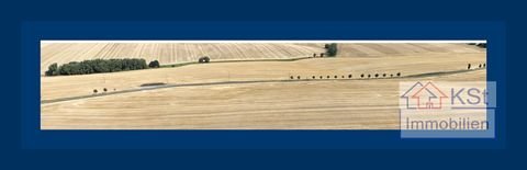 Elsteraue Bauernhöfe, Landwirtschaft, Elsteraue Forstwirtschaft