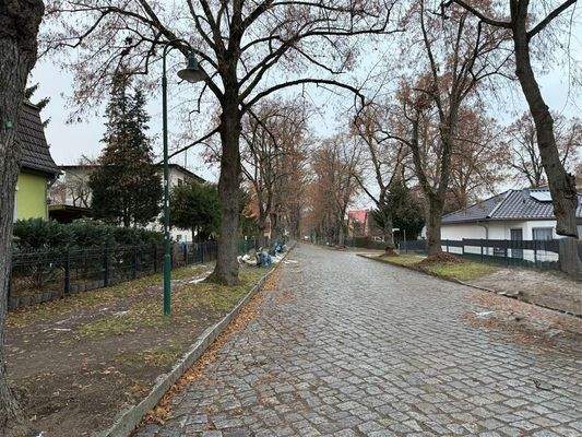 Umgebung Grundstück