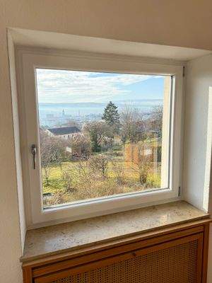 Kunststofffenster (saniert)