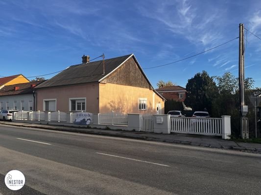 Haus - NESTOR Immobilien