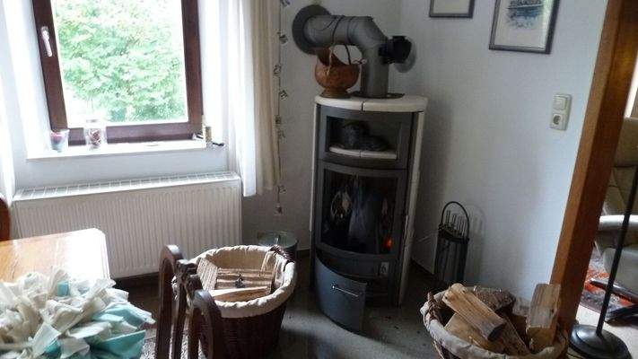 Kamin im Wohnbereich