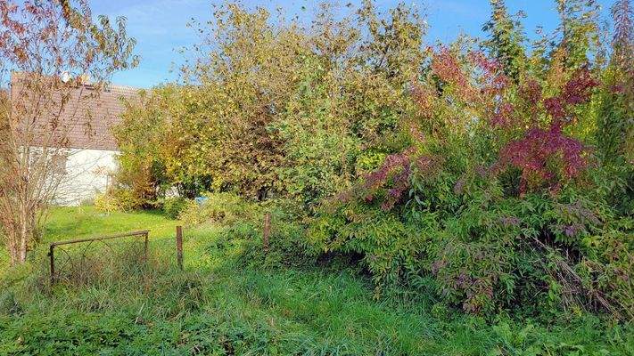 Schöner naturnaher Garten