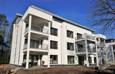 Papenburg Wohnungen, Papenburg Wohnung mieten