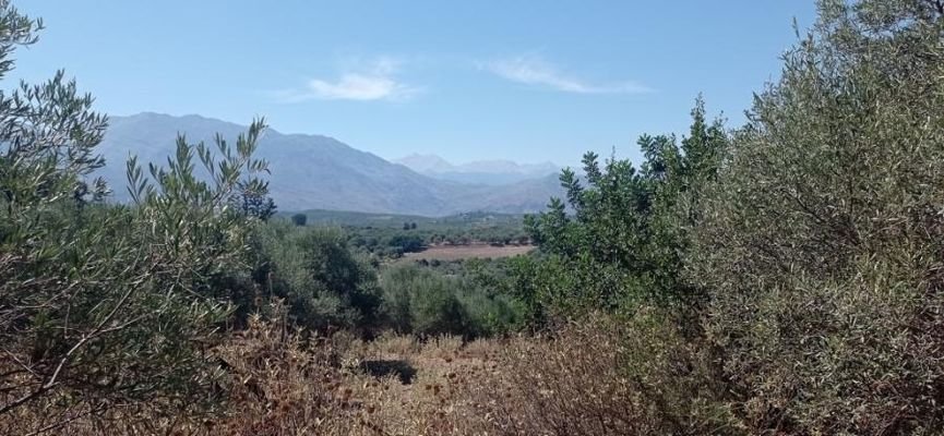 Kreta, Episkopi: Wunderschönes Grundstück mit Meer