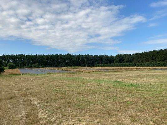 rückwärtige Fläche