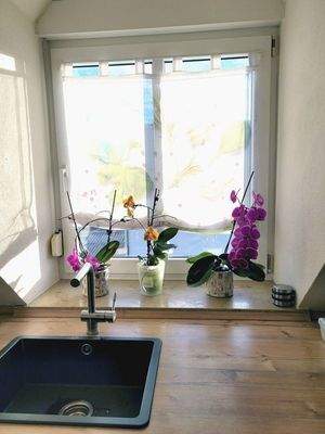 Küchenausblick nach Süden.jpg