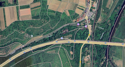 Münster-Sarmsheim Bauernhöfe, Landwirtschaft, Münster-Sarmsheim Forstwirtschaft