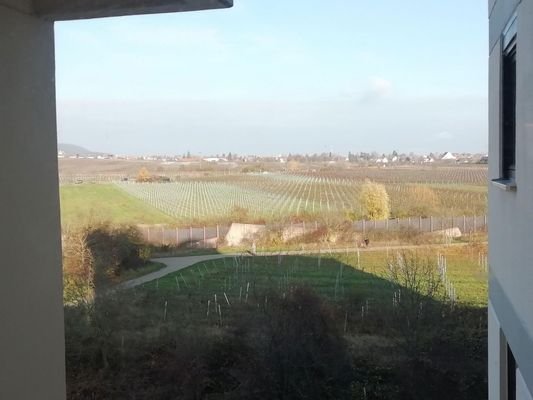 Ausblick Fenster Küche