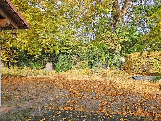 Blick in Hof mit KFZ-Parkmöglichkeit