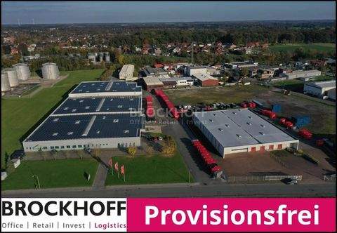 Lüdinghausen Halle, Lüdinghausen Hallenfläche