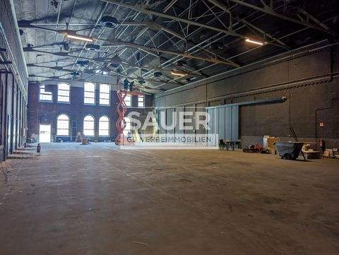 Berlin Halle, Berlin Hallenfläche