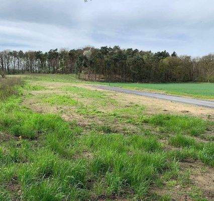 Grundstücke Baugebiet Nesberg 