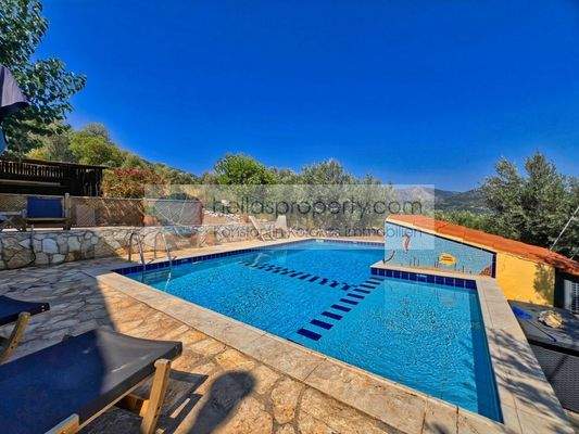 e03613bed30a4ecf83497628b9d9efe0-original