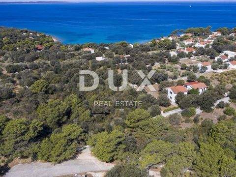 Silba - Olib - Premuda Bauernhöfe, Landwirtschaft, Silba - Olib - Premuda Forstwirtschaft