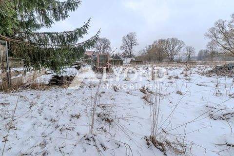 Hasselfelde Bauernhöfe, Landwirtschaft, Hasselfelde Forstwirtschaft