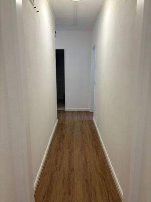 WhatsApp Image 2026-02-19 at 15.36.30 (1)