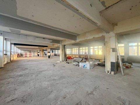 Berlin Büros, Büroräume, Büroflächen 