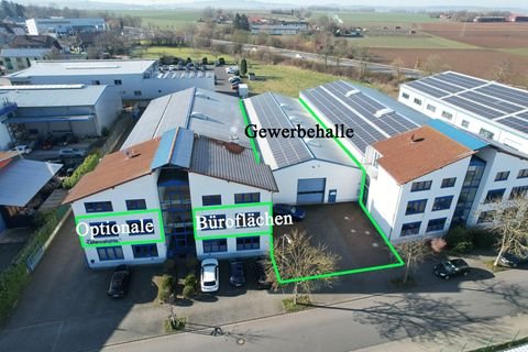 Groß-Umstadt Halle, Groß-Umstadt Hallenfläche