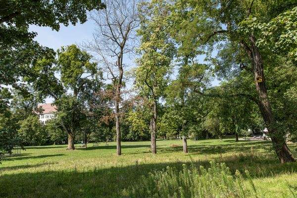 Natur pur inmitten der Stadt - Erholung direkt am Objekt