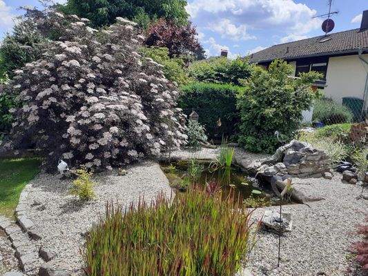 Impression - Gartenteichanlage - Frühjahr/Sommer