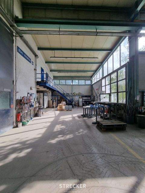 Bornheim Halle, Bornheim Hallenfläche