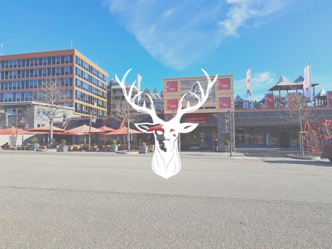 Feldberg Gastronomie, Pacht, Gaststätten