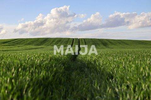 Karsava Bauernhöfe, Landwirtschaft, Karsava Forstwirtschaft