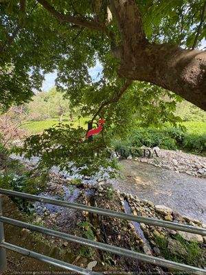 WhatsApp Image 2025-05-11 at 10.29.59-3.jpeg