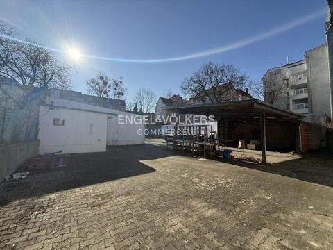 Berlin Halle, Berlin Hallenfläche