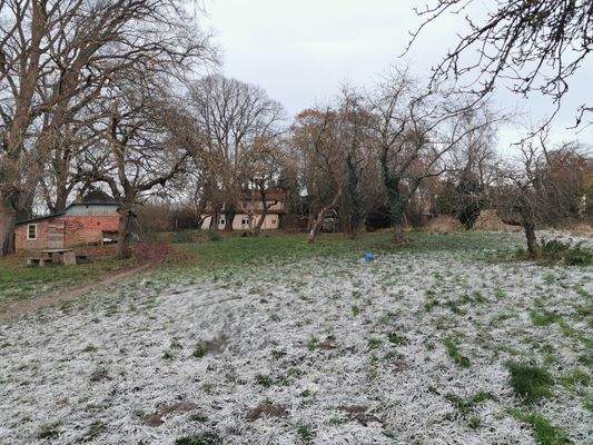 ca. 3000 qm großer Garten mit diversen Bäumen
