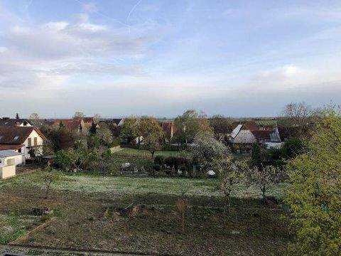 Essingen Wohnungen, Essingen Wohnung mieten