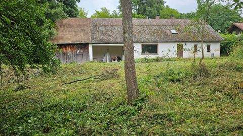 Nittenau Häuser, Nittenau Haus kaufen