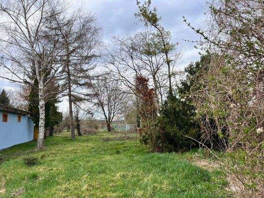 Grundstück hinten