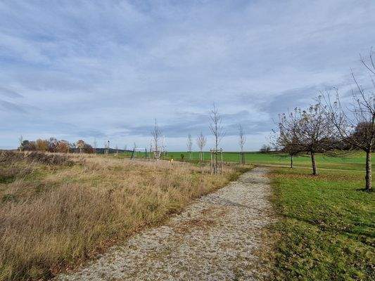 in die Natur hinter dem Haus