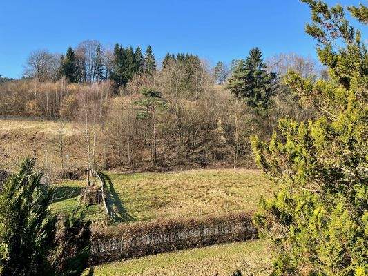 Blick vom Balkon in die Natur