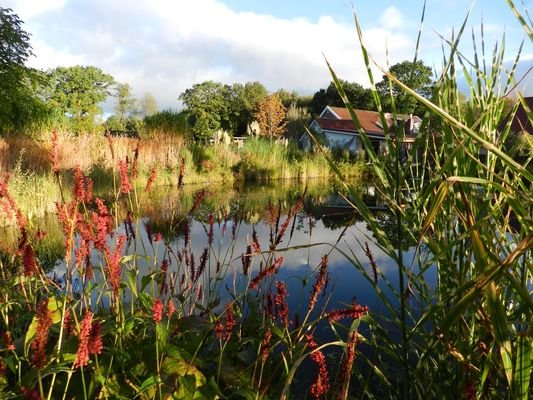 Biotop beim Gallushaus