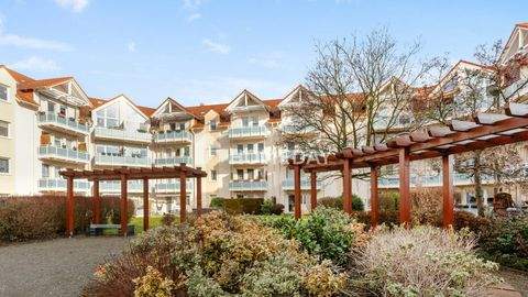 Borsdorf Wohnungen, Borsdorf Wohnung kaufen