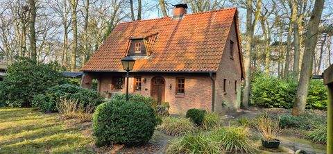 Wisch b Kiel Häuser, Wisch b Kiel Haus kaufen