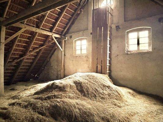 Ausbaureserve Dachgeschoss