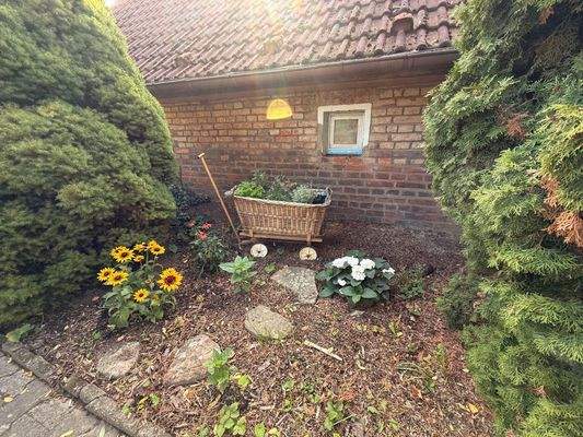 WhatsApp Image 2025-09-24 at 12.37.03 (4)