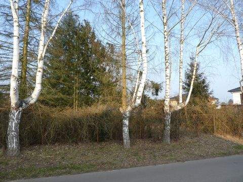 Fredersdorf-Vogelsdorf Grundstücke, Fredersdorf-Vogelsdorf Grundstück kaufen