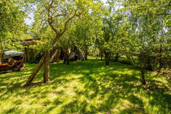 Garten mit Obstbäumen